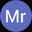 Mr Love